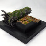 Fallen-tree_05