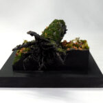 Fallen-tree_06