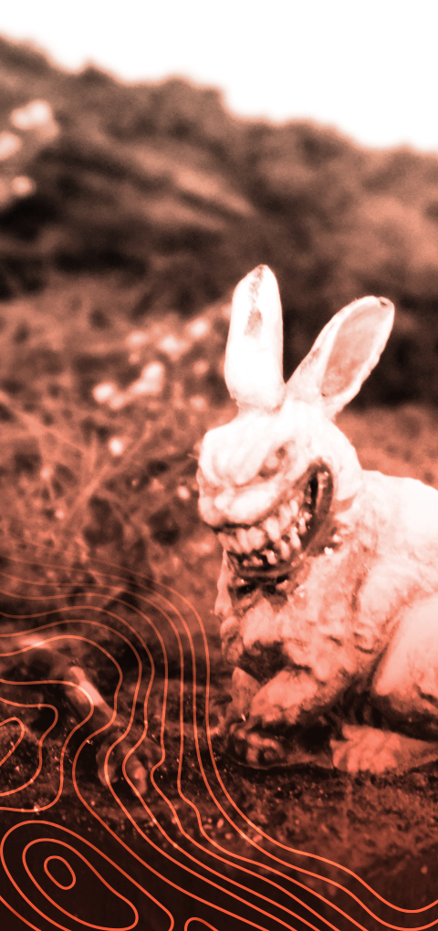 Project: Little rabbit