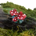 little-rabbit_11
