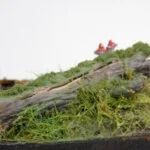little-rabbit_13