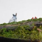 little-rabbit_14