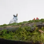 little-rabbit_14